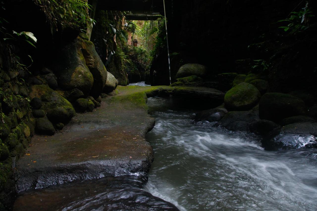 Pondok Legon House Убуд Экстерьер фото
